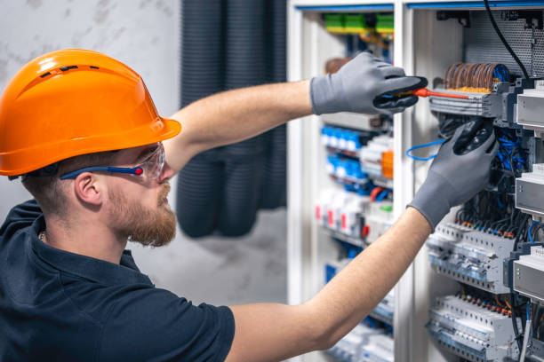 Best Electric Panel Repair  in Snow Hill, NC